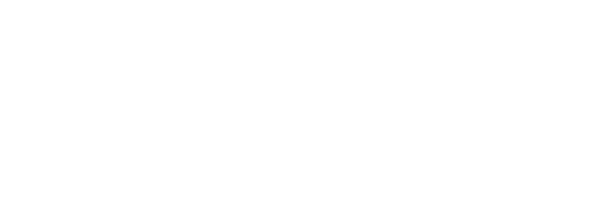 ANTHO CONNECT & SERVICES-LOGO-BLANC