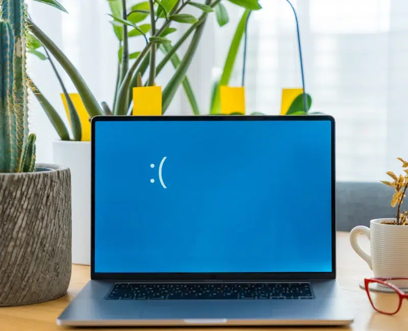 ANTHO CONNECT & SERVICES